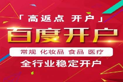 某某SEM团队成功案例：广告投放策略揭秘